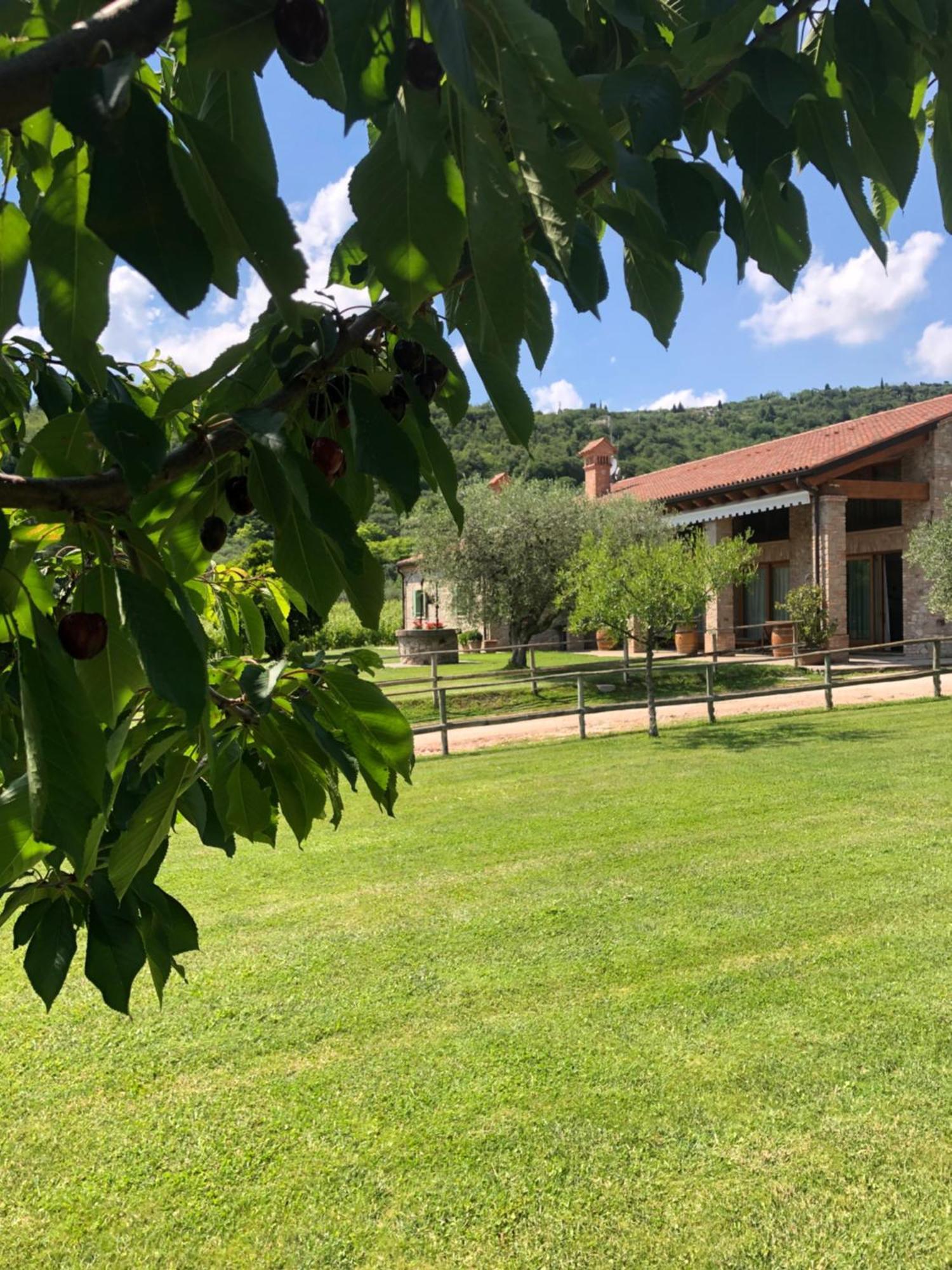 Alloggio Franciscus Arquà Petrarca Exterior foto