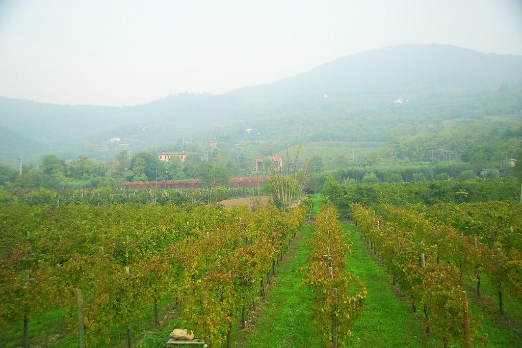 Alloggio Franciscus Arquà Petrarca Zimmer foto