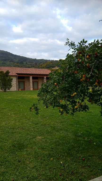 Alloggio Franciscus Arquà Petrarca Exterior foto